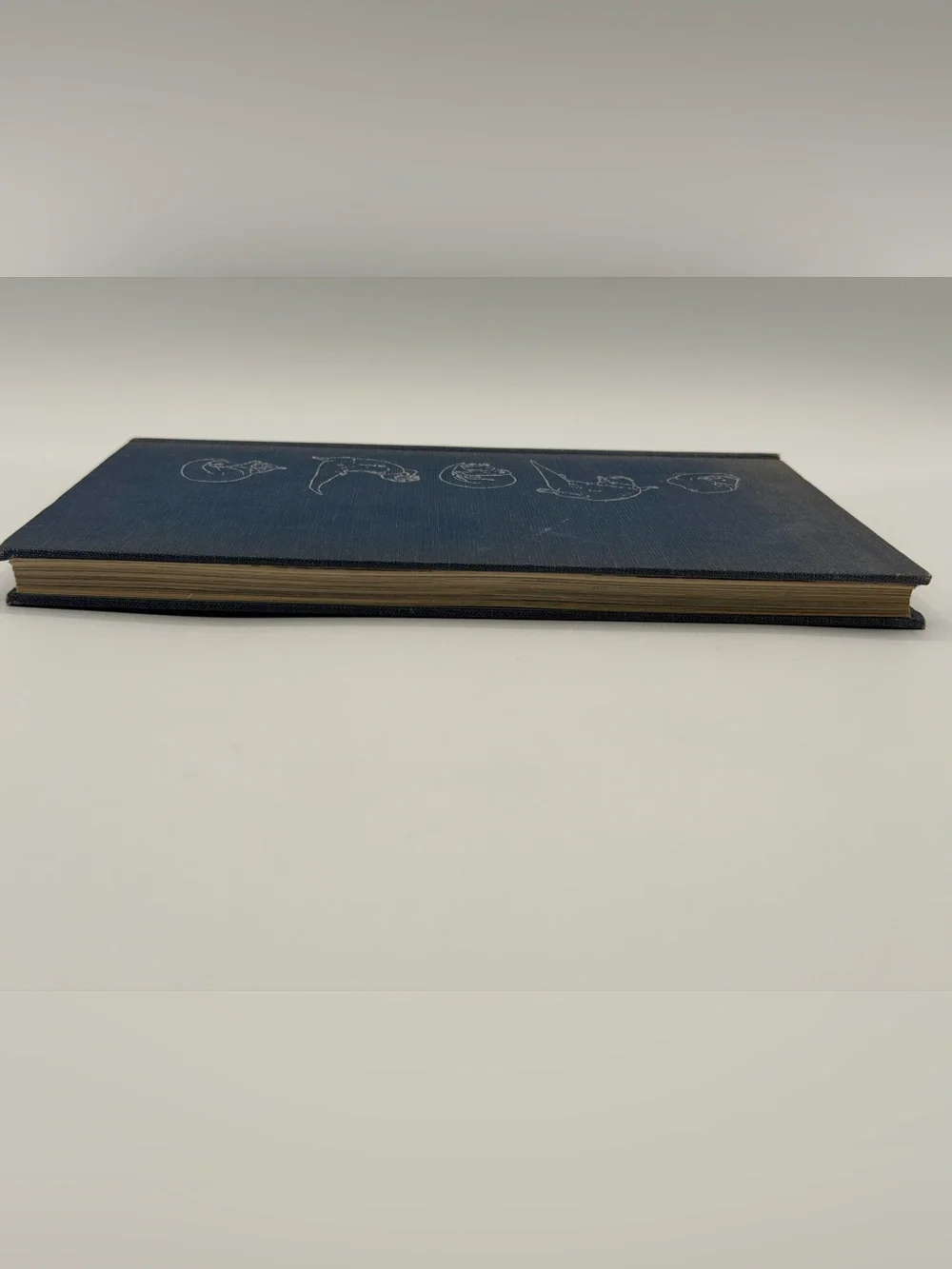 The Otter's Tale by Gavin Maxwell (Hardcover Book, 1962) First Edition
